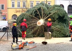 Weihnachtsbaum In Jena Aufgestellt 13112021 003